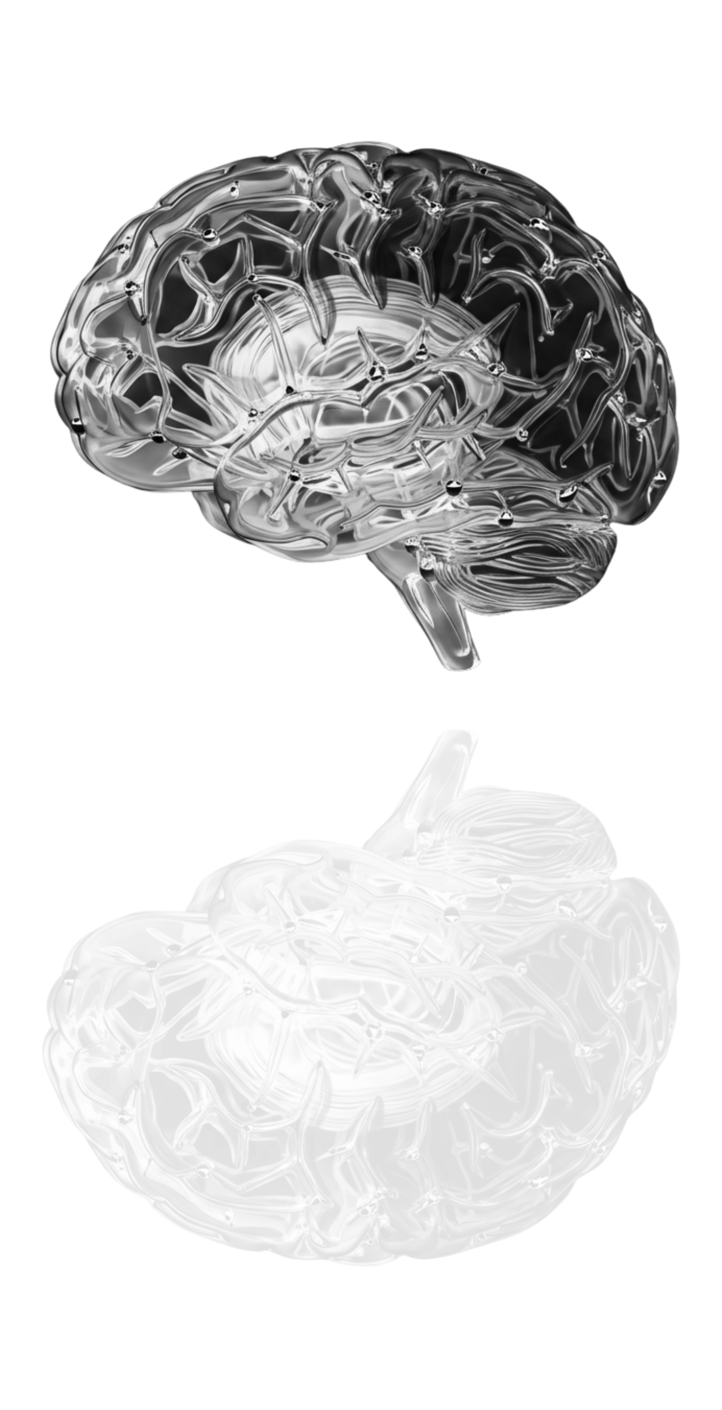Neural Synapsis